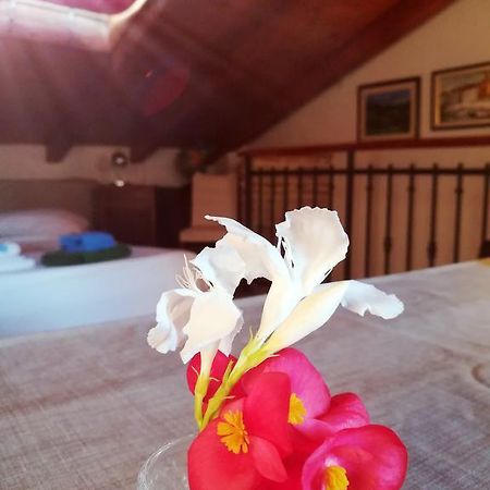La Calletta ロヴィニ エクステリア 写真